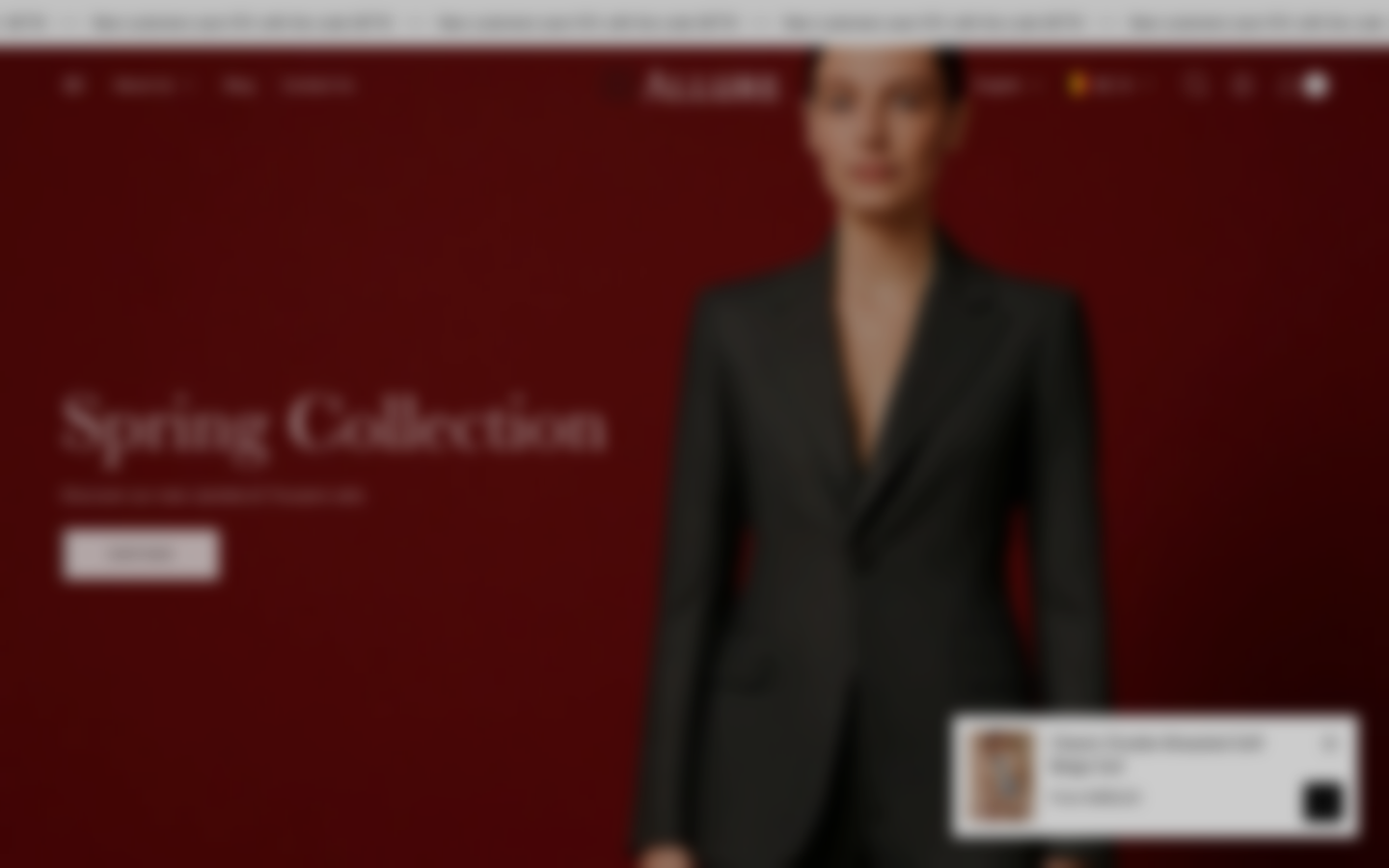 Icon before logo — Navi+ on the Allure Shopify theme Icon before logo — Navi+ on the Allure Shopify theme