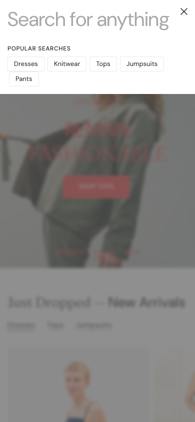 Search → panel opened — Navi+ on the Distinctive Shopify theme Search → panel opened — Navi+ on the Distinctive Shopify theme