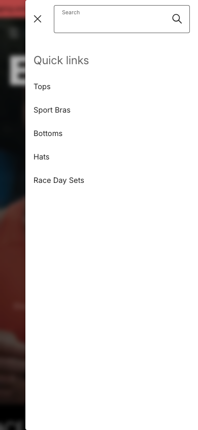 Search → panel opened — Navi+ on the Eclipse Shopify theme Search → panel opened — Navi+ on the Eclipse Shopify theme