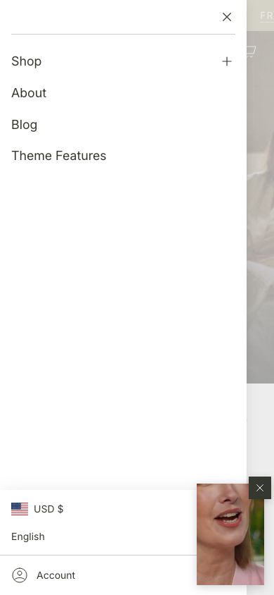 Hamburger → panel opened — Navi+ on the Envy Shopify theme