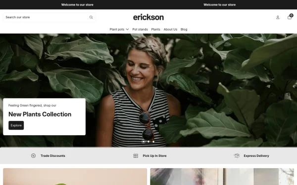 Full-page desktop screenshot of Shopify Erickson theme demo store