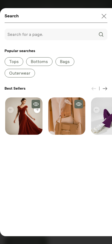 Search → panel opened — Navi+ on the Flaunt Shopify theme Search → panel opened — Navi+ on the Flaunt Shopify theme