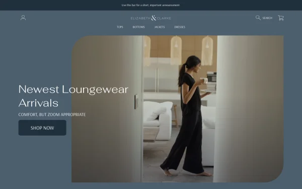 Full-page desktop screenshot of Shopify Frame theme demo store