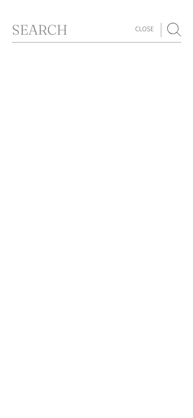 Search → panel opened — Navi+ on the Honey Shopify theme