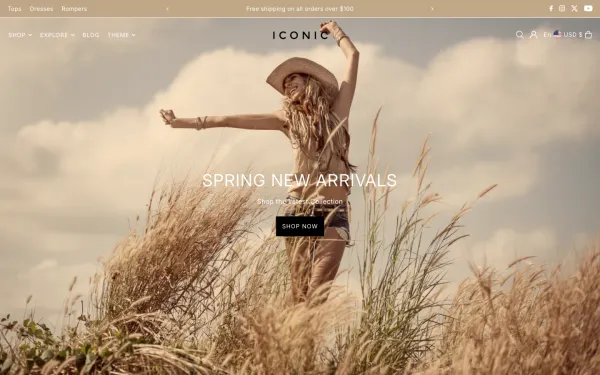 Full-page desktop screenshot of Shopify Icon theme demo store