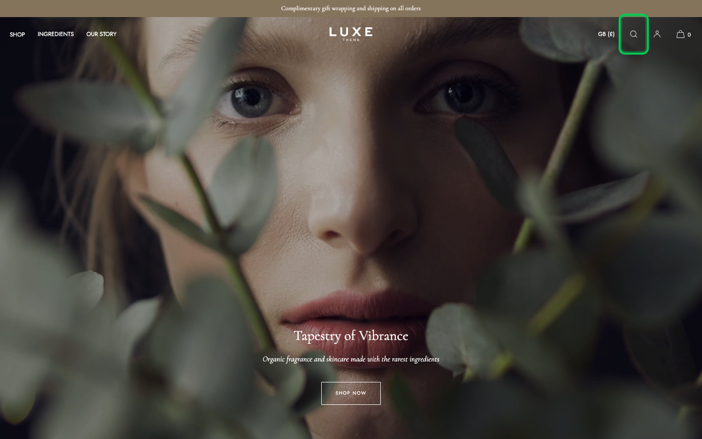 Search → panel opened — Navi+ on the Luxe Shopify theme Search → panel opened — Navi+ on the Luxe Shopify theme