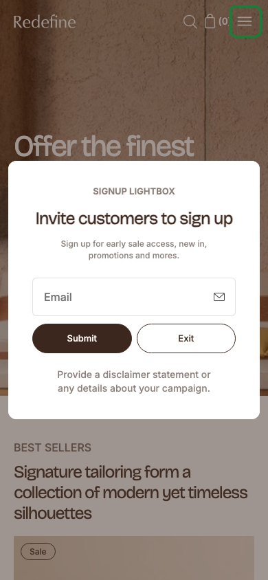 Hamburger → panel opened — Navi+ on the Redefine Shopify theme