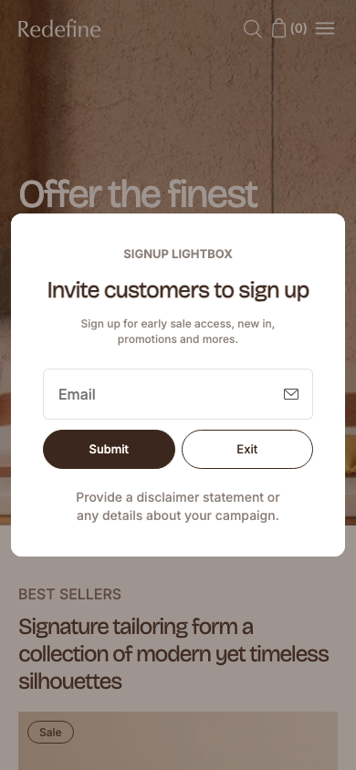 Cart → panel opened — Navi+ on the Redefine Shopify theme