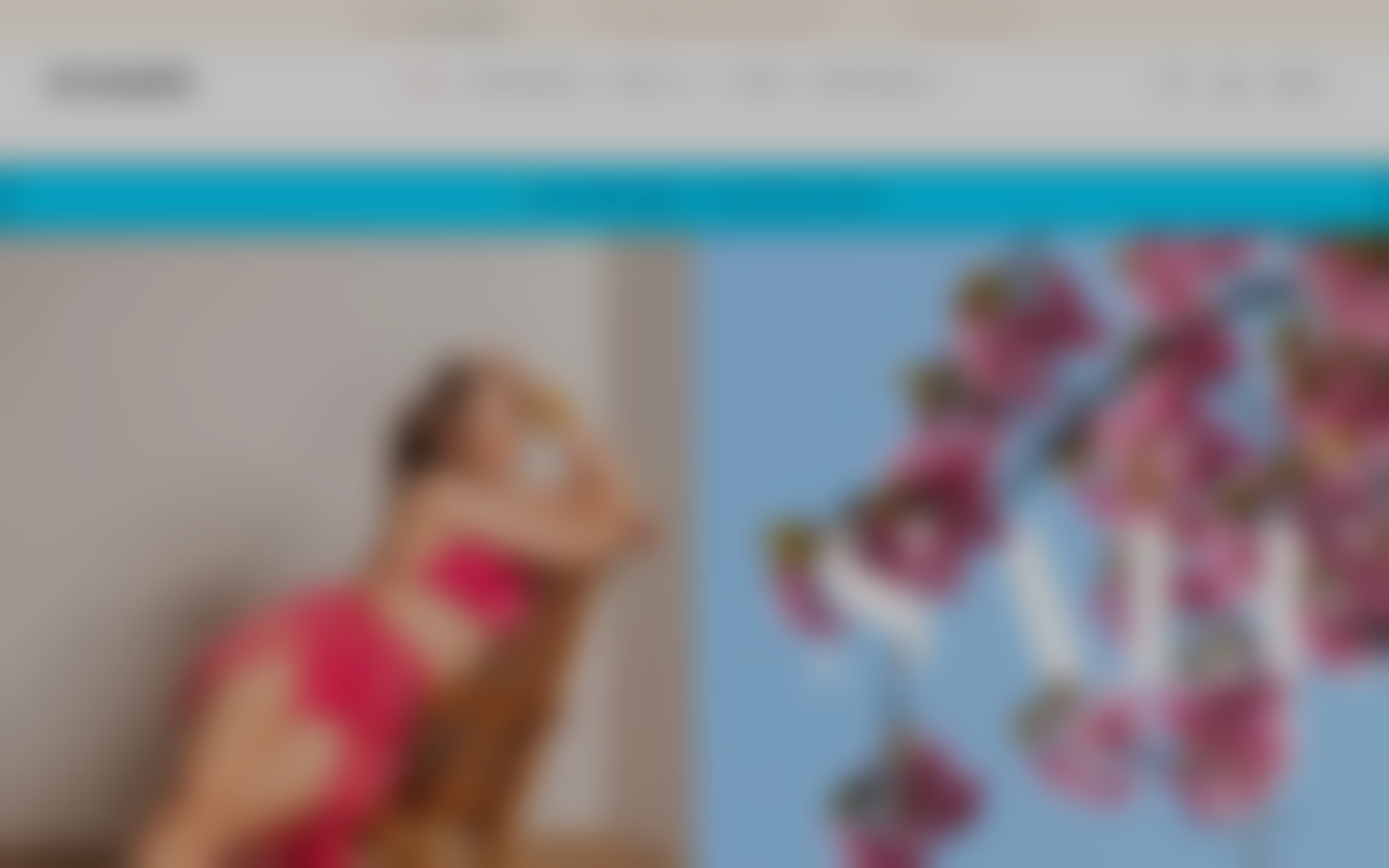 Menu inserted below header — Navi+ on the Retro Shopify theme Menu inserted below header — Navi+ on the Retro Shopify theme