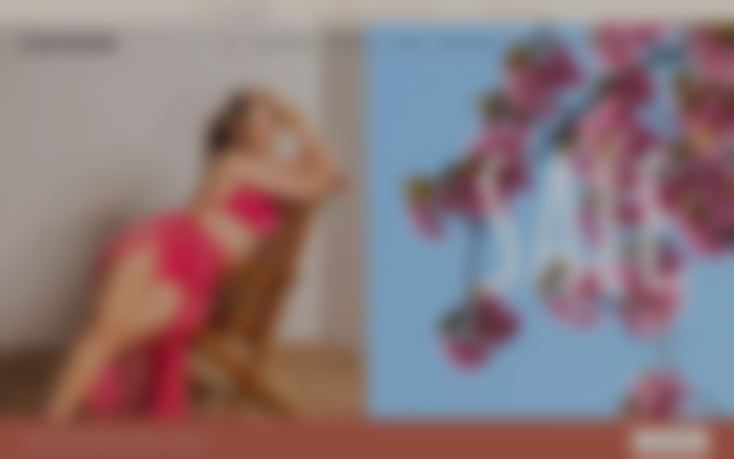 Icon before logo — Navi+ on the Retro Shopify theme Icon before logo — Navi+ on the Retro Shopify theme