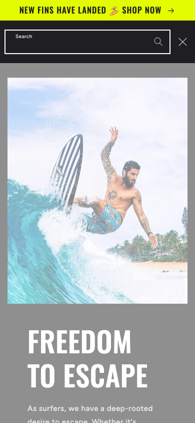 Search → panel opened — Navi+ on the Ride Shopify theme Search → panel opened — Navi+ on the Ride Shopify theme