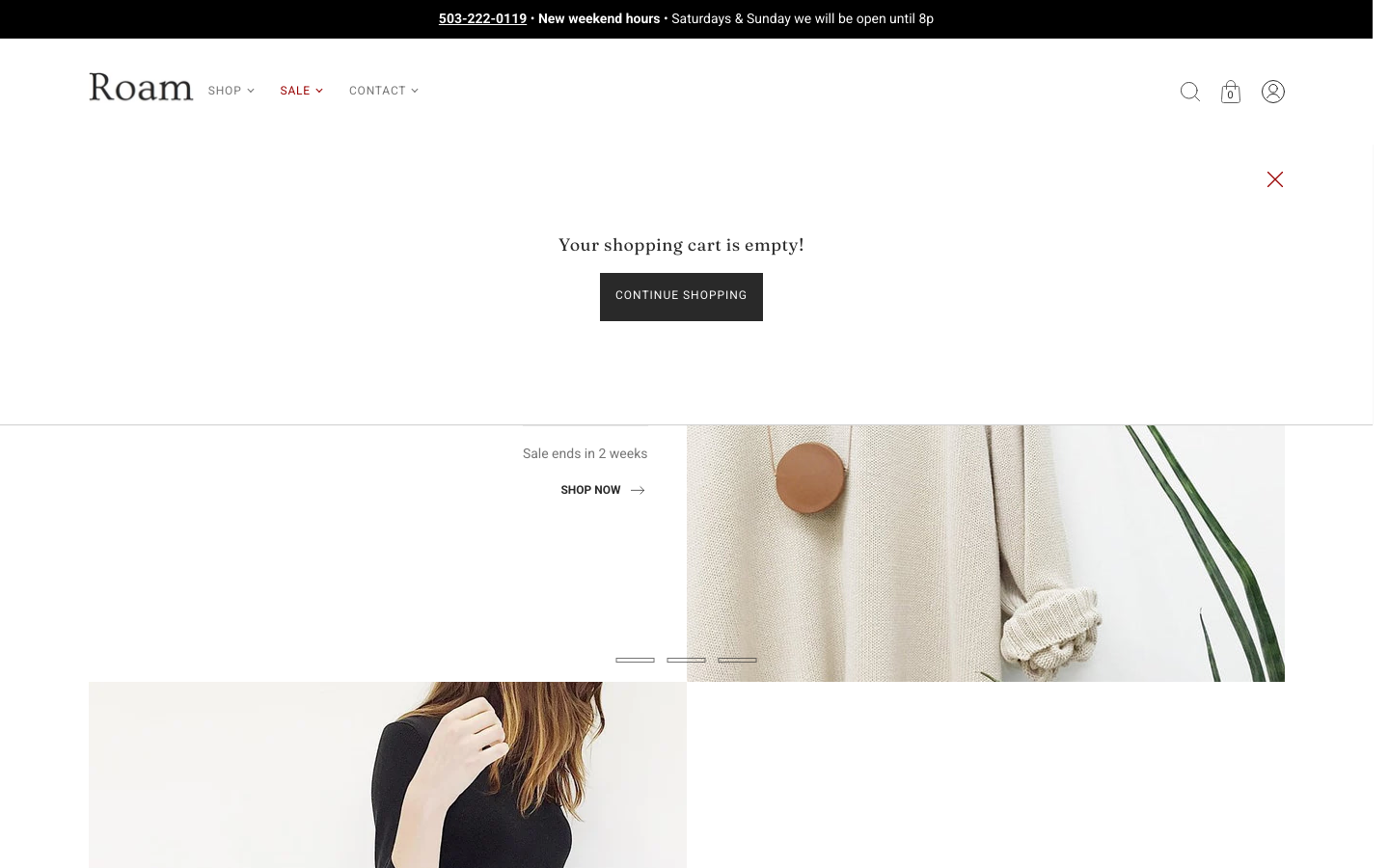 Cart → panel opened — Navi+ on the Roam Shopify theme Cart → panel opened — Navi+ on the Roam Shopify theme