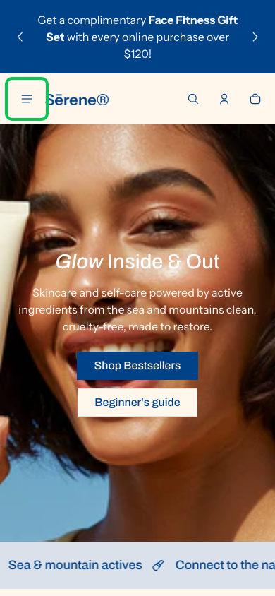 Hamburger → panel opened — Navi+ on the Shine Shopify theme
