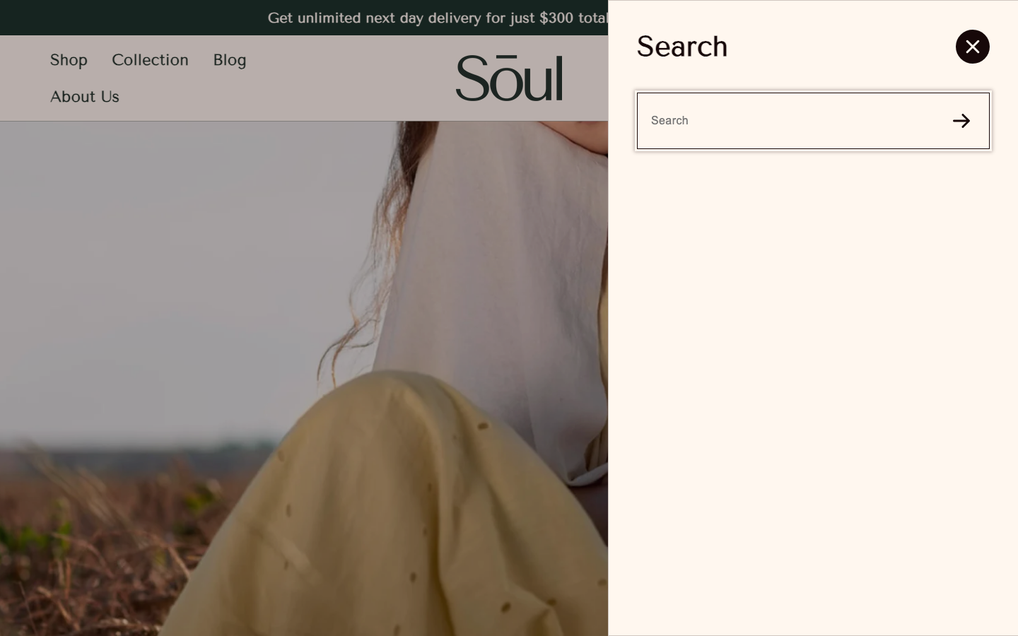Search → panel opened — Navi+ on the Soul Shopify theme Search → panel opened — Navi+ on the Soul Shopify theme