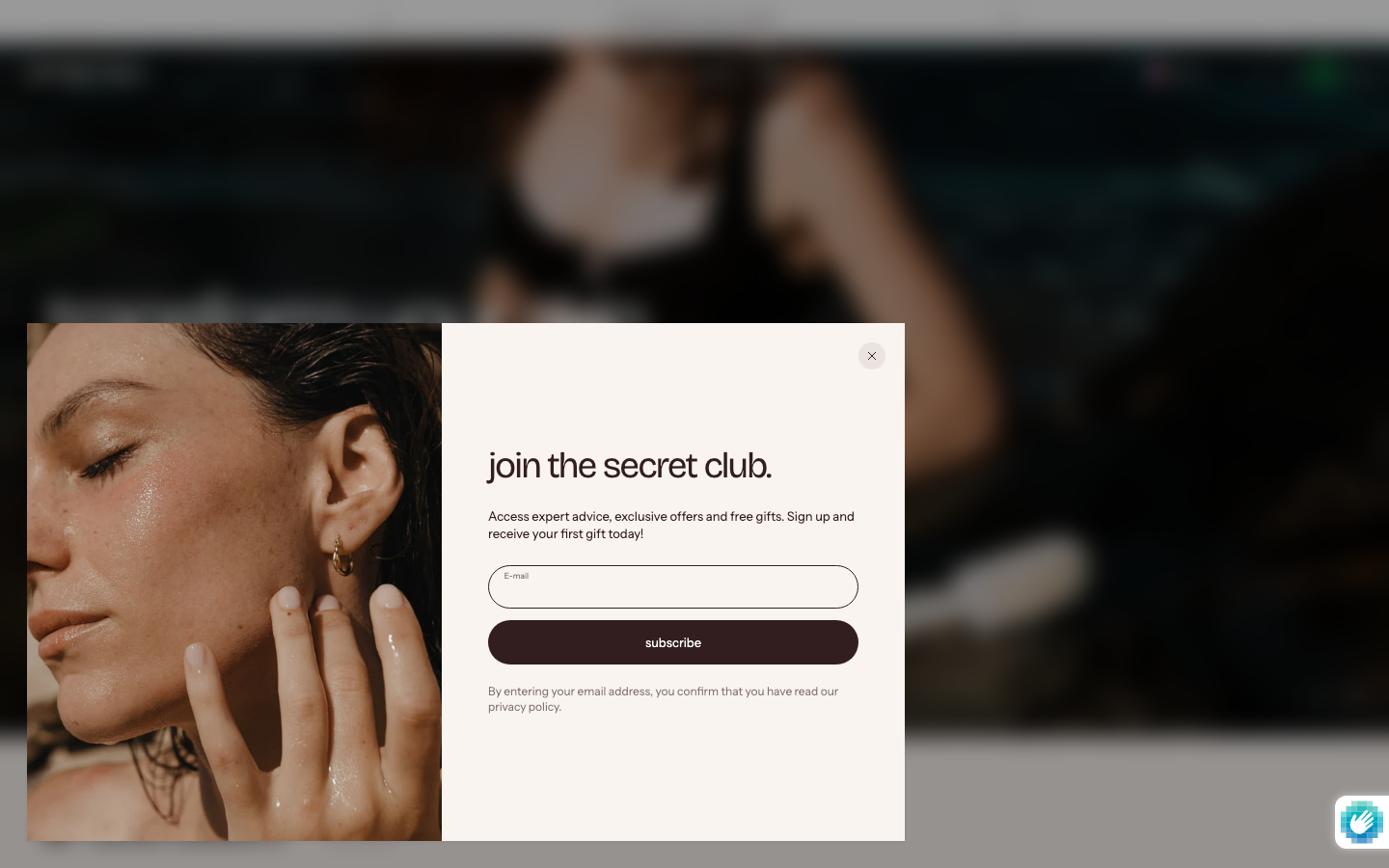 Search → panel opened — Navi+ on the Stretch Shopify theme Search → panel opened — Navi+ on the Stretch Shopify theme