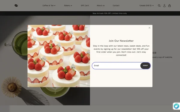 Full-page desktop screenshot of Shopify Vincent theme demo store