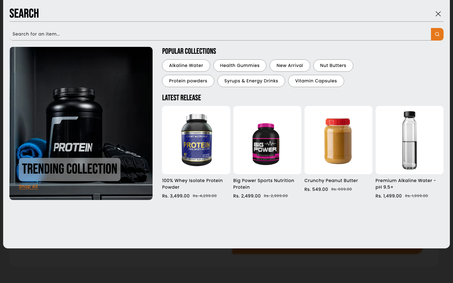 Search → panel opened — Navi+ on the Zeal Shopify theme Search → panel opened — Navi+ on the Zeal Shopify theme